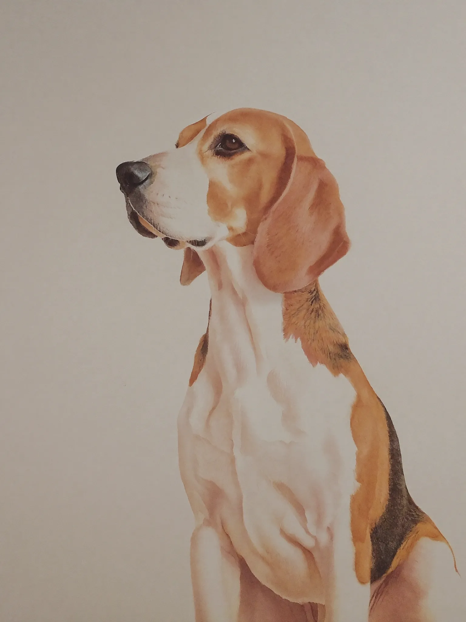 Aquarell Portrait – Beagle