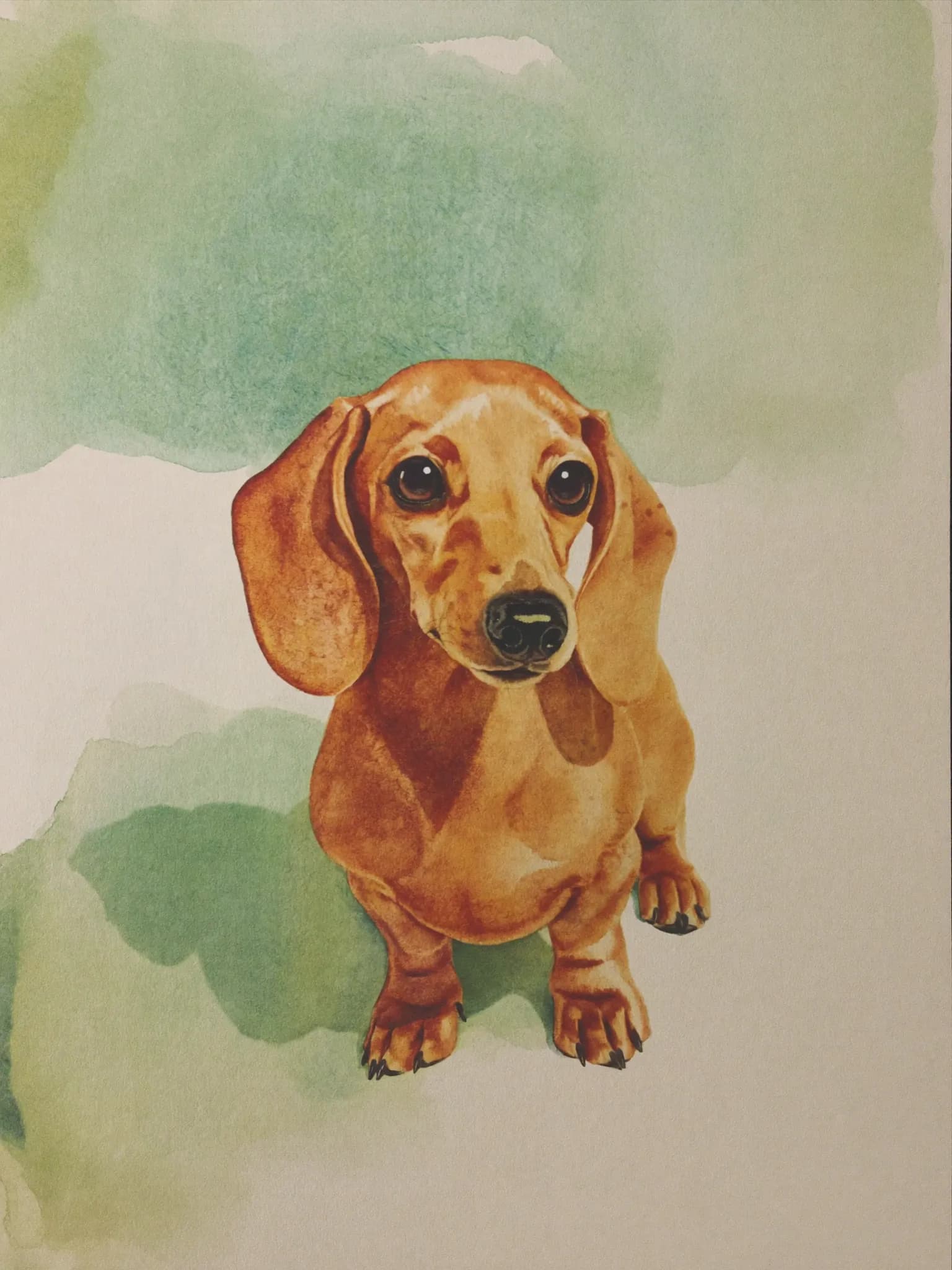 Aquarell Portrait – Dackel