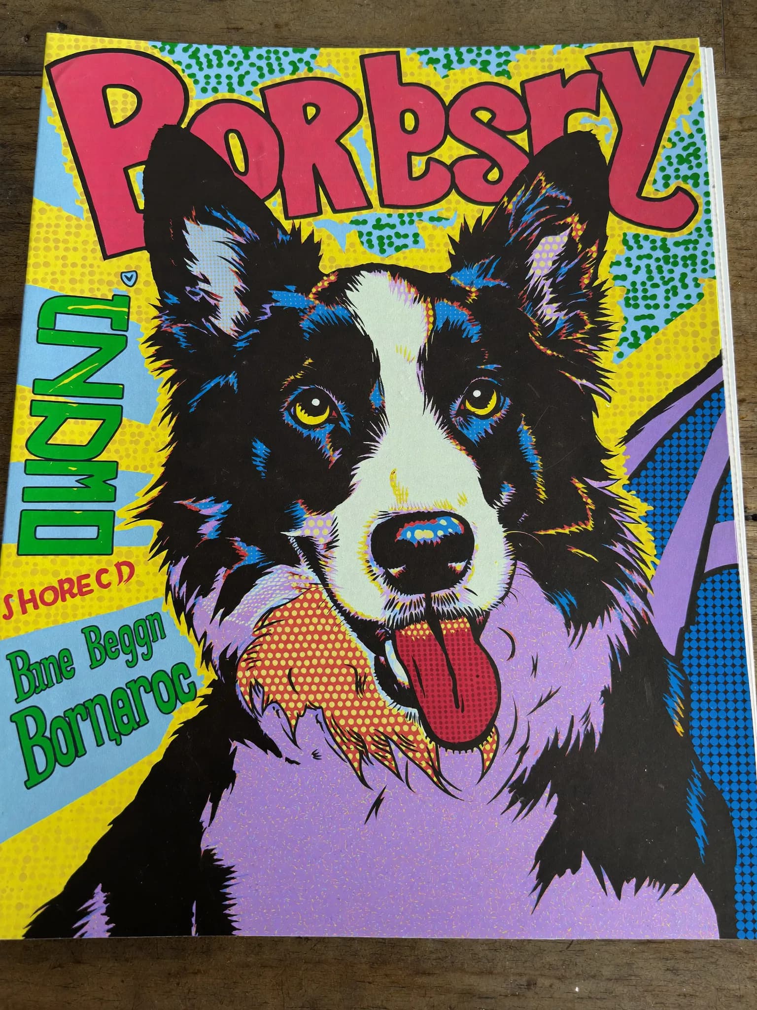 Comic Portrait – Border Collie