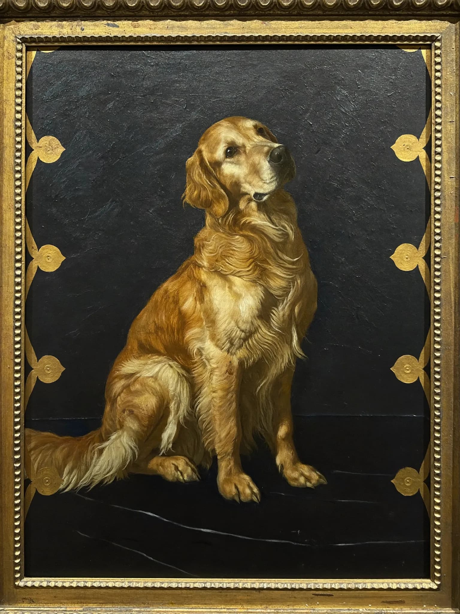 Royal Portrait – Golden Retriever
