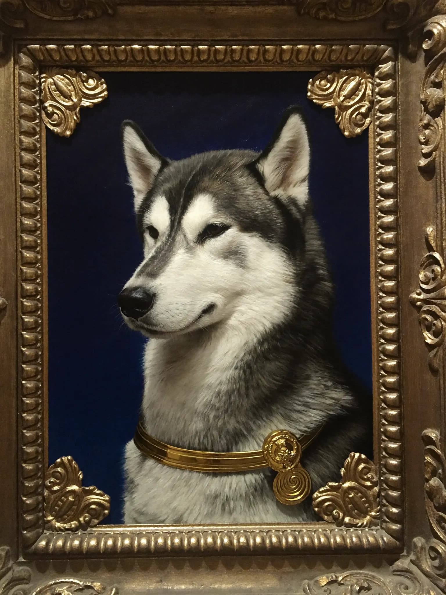 Royal Portrait – Husky